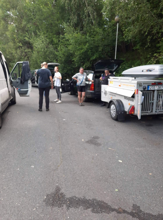 FOTOGALERIE: Kauza Nemanice