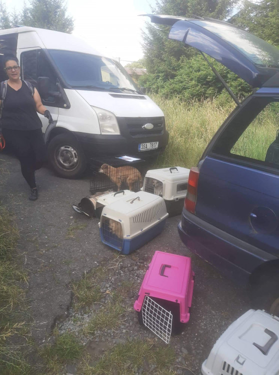 FOTOGALERIE: Kauza Nemanice