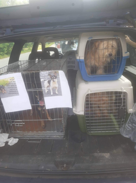 FOTOGALERIE: Kauza Nemanice