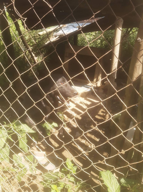 FOTOGALERIE: Kauza Nemanice