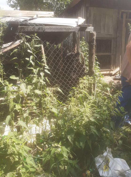 FOTOGALERIE: Kauza Nemanice