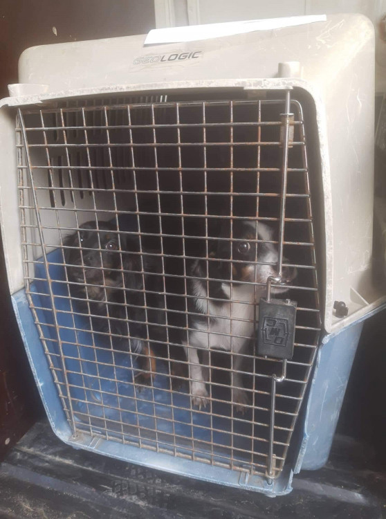 FOTOGALERIE: Kauza Nemanice