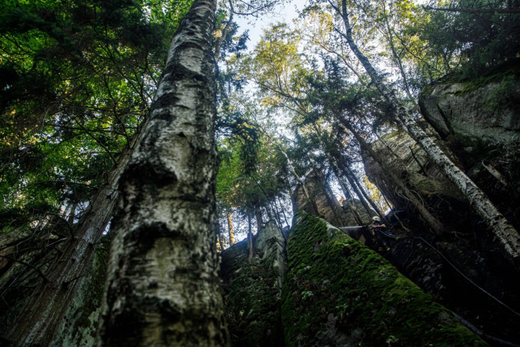 Požár ve špatně přístupném terénu na Broumovsku
