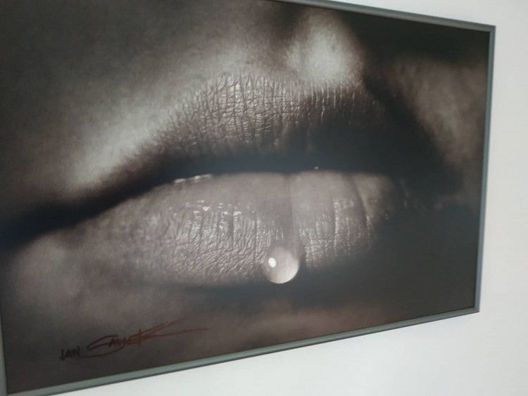 Jan Saudek se ženou na výstavě v Plumlově na zámku