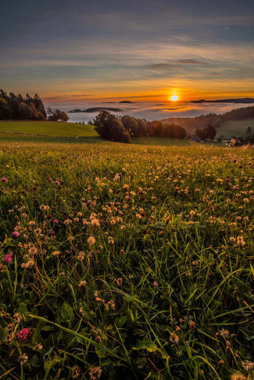 Ráno nad vesnicí Zámyšl