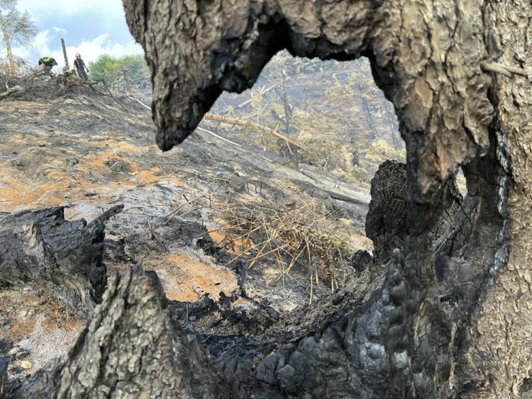 Hasiči z Olomouckého kraje bojují s požárem v Českém Švýcarsku