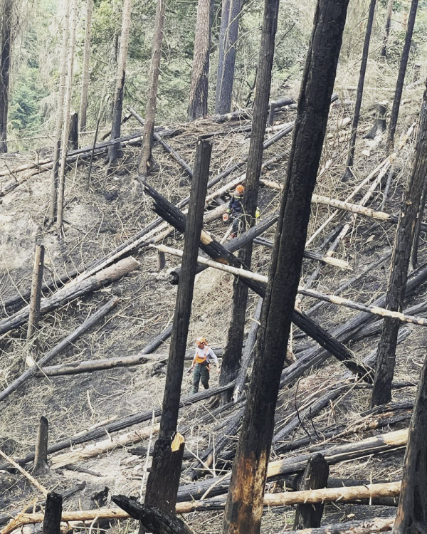 Hasiči z Olomouckého kraje bojují s požárem v Českém Švýcarsku