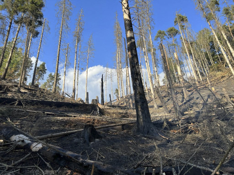 Hasiči z Olomouckého kraje bojují s požárem v Českém Švýcarsku