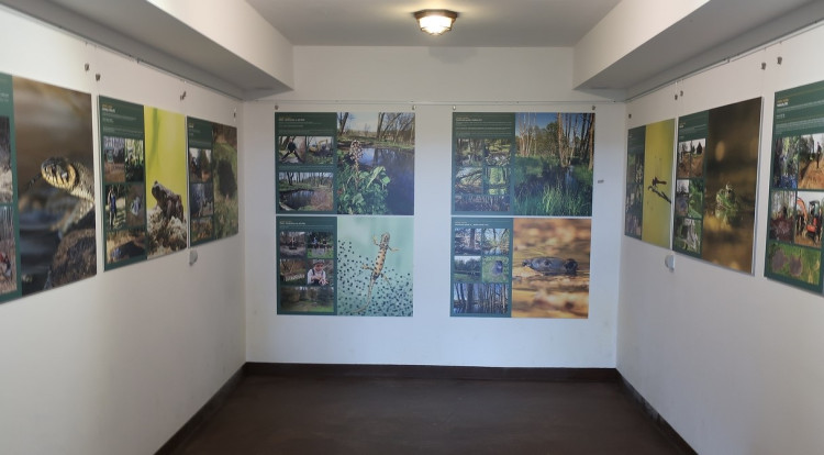 FOTOGALERIE: Vernisáž výstavy Ondrovy mokřady