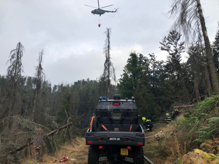 Hasiči města Domažlice