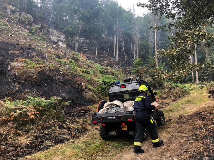 Hasiči města Domažlice