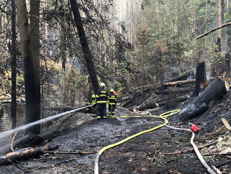 Hasiči města Domažlice