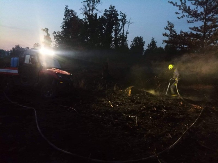 Hasiči města Domažlice