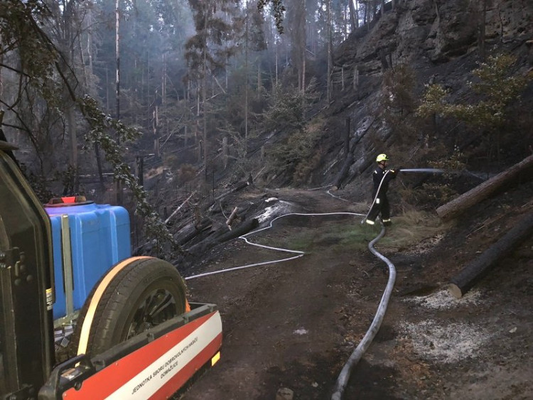 Hasiči města Domažlice