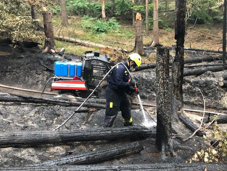 Hasiči města Domažlice