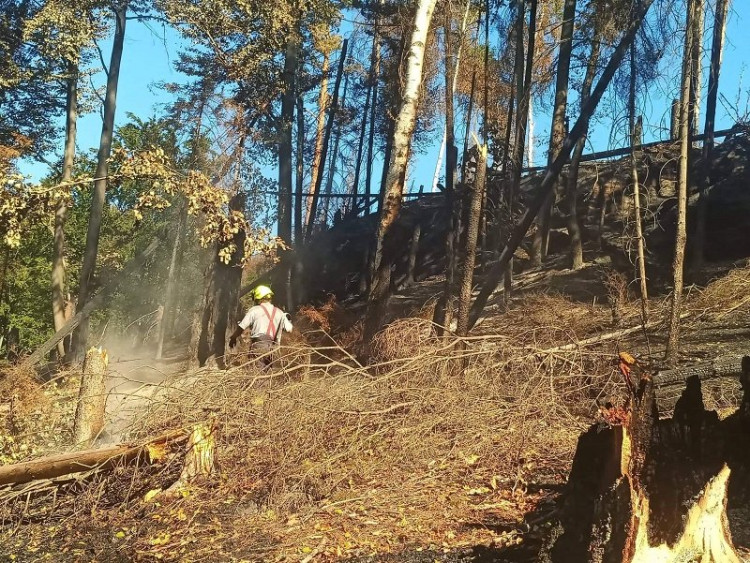 Hasiči města Domažlice