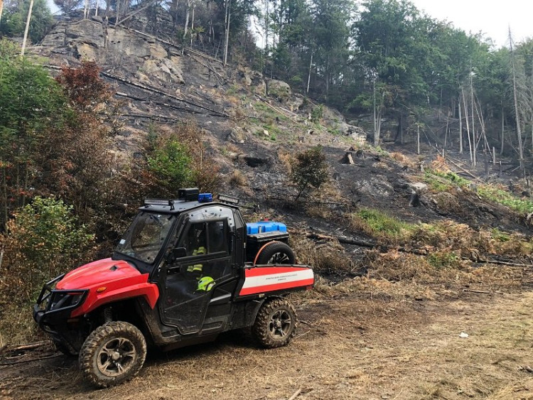 Hasiči města Domažlice