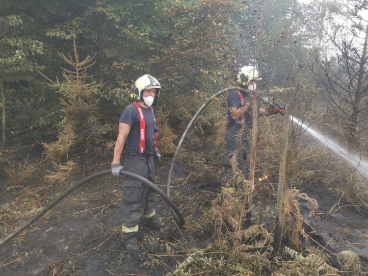 Jihočeští hasiči v Hřensku