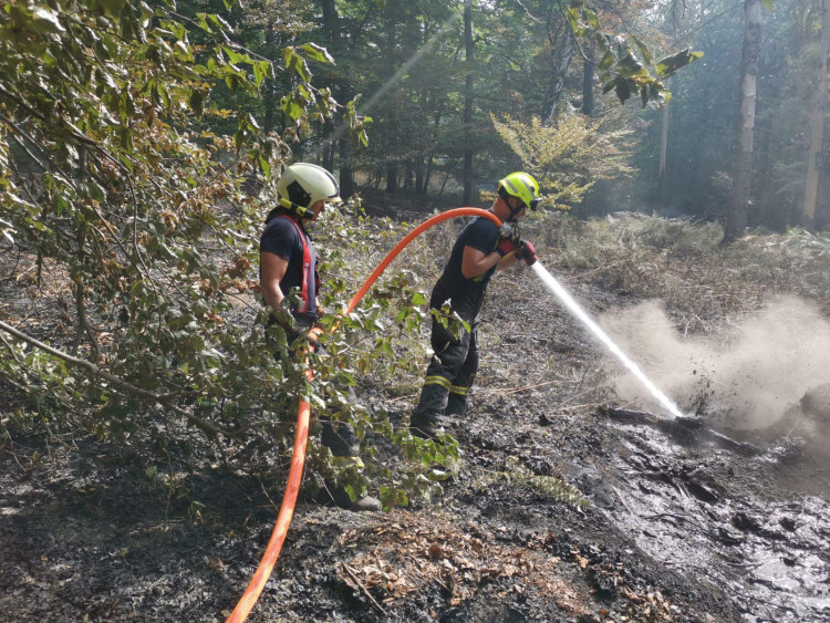 Jihočeští hasiči v Hřensku
