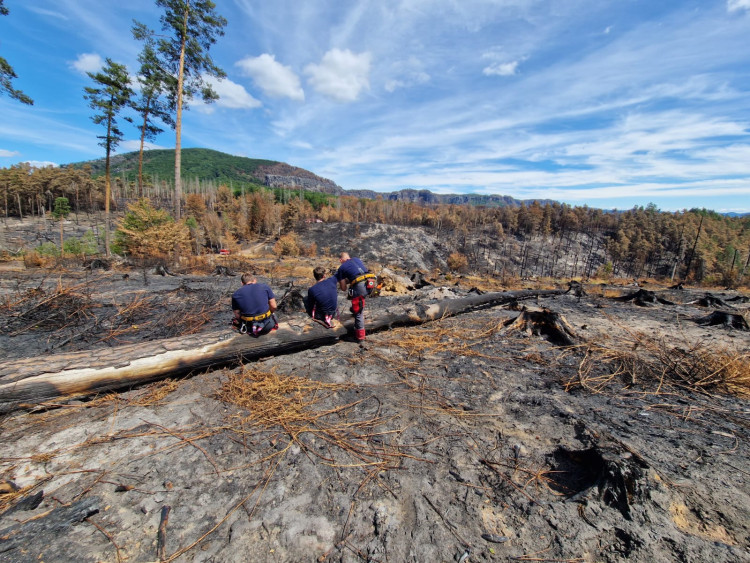 Jihočeští hasiči v Hřensku