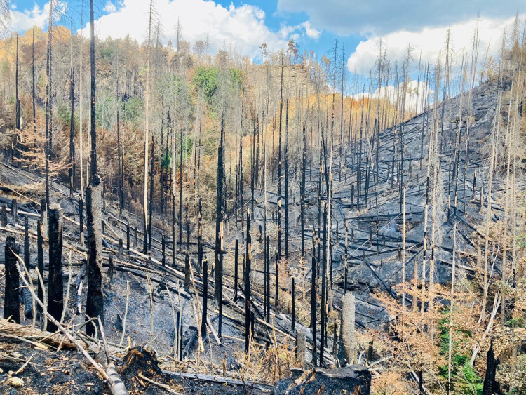 Jihočeští hasiči v Hřensku