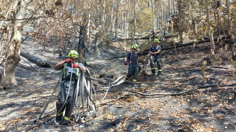 Jihočeští hasiči v Hřensku