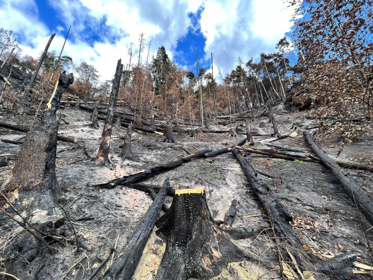 Jihočeští hasiči v Hřensku