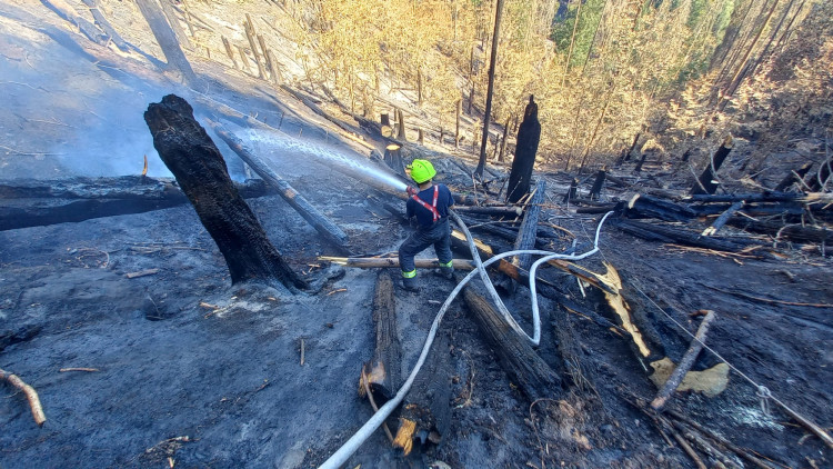 Jihočeští hasiči v Hřensku