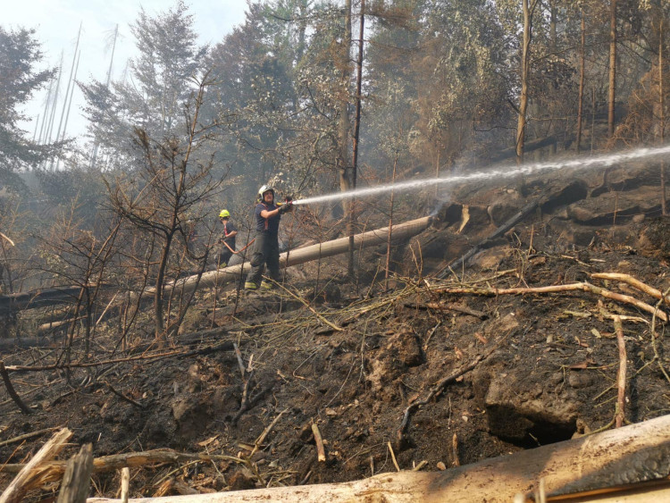 Jihočeští hasiči v Hřensku