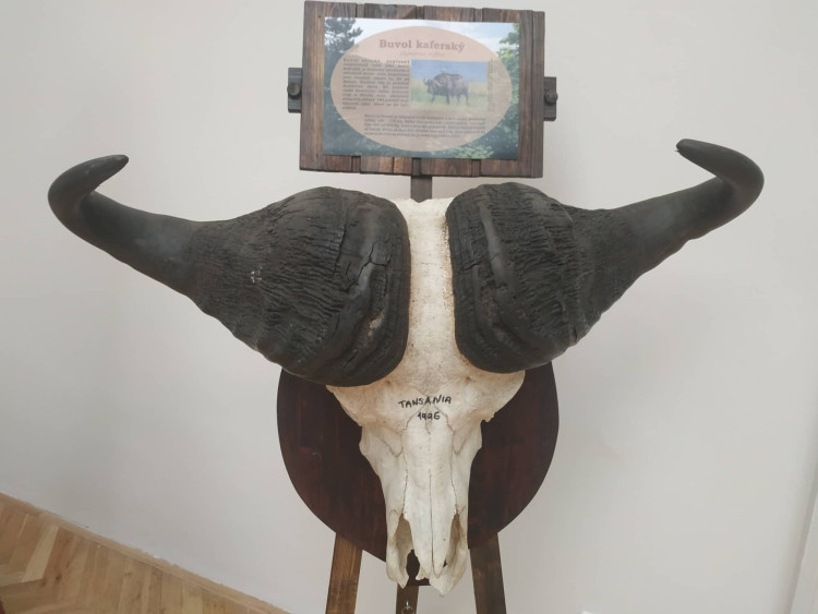 FOTOGALERIE: Parohatí a dutorozí v Prostějově