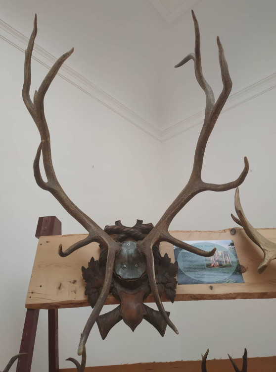 FOTOGALERIE: Parohatí a dutorozí v Prostějově