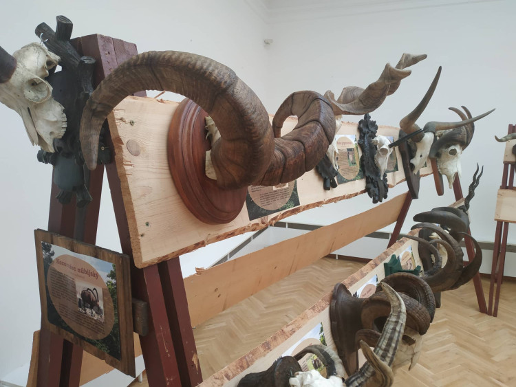 FOTOGALERIE: Parohatí a dutorozí v Prostějově