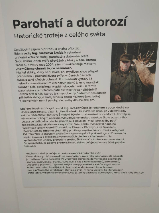 FOTOGALERIE: Parohatí a dutorozí v Prostějově