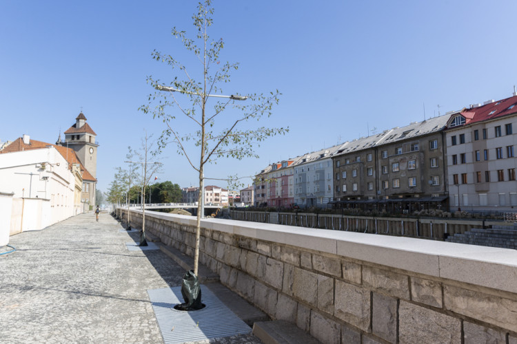 Břehy Moravy nedaleko centra Olomouce dostávají novou podobu