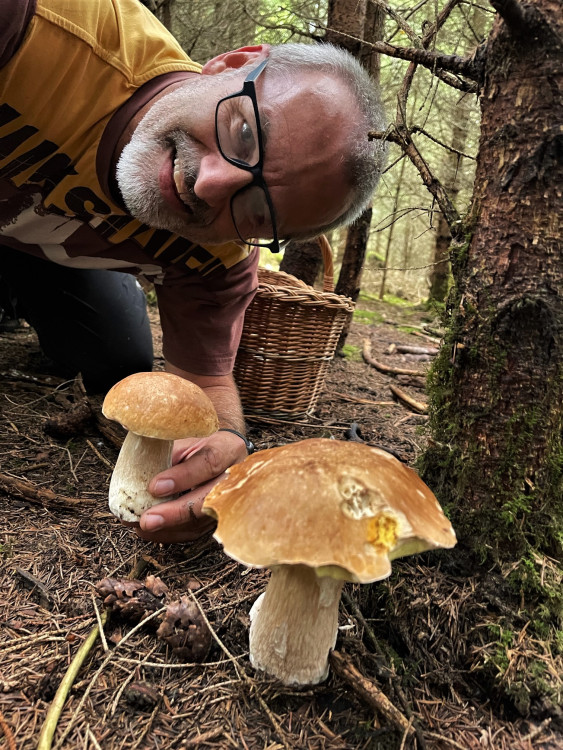FOTOGALERIE: Redaktor Plzeňské Drbny na houbách