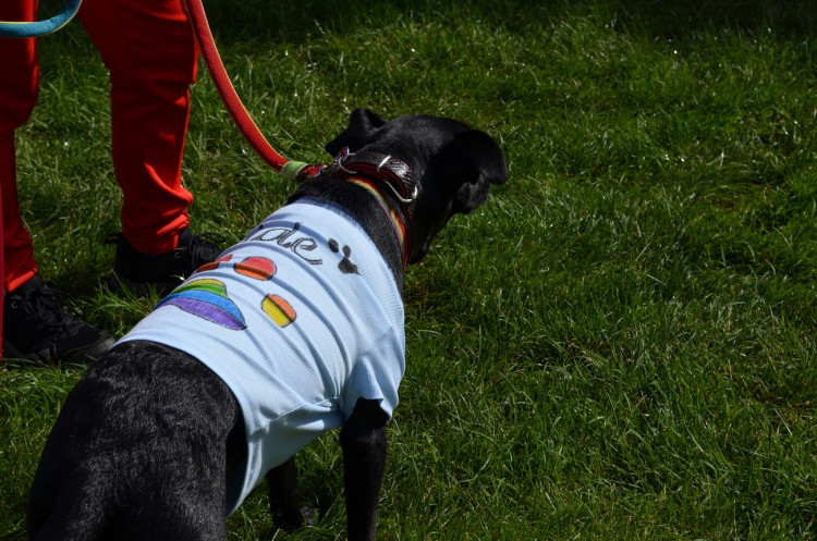 FOTOGALERIE: Pilsen Pride 2022