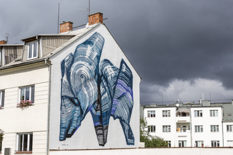 FOTOGALERIE: Festival pouličního umění přinesl do Olomouce velkoplošné malby i drobná díla