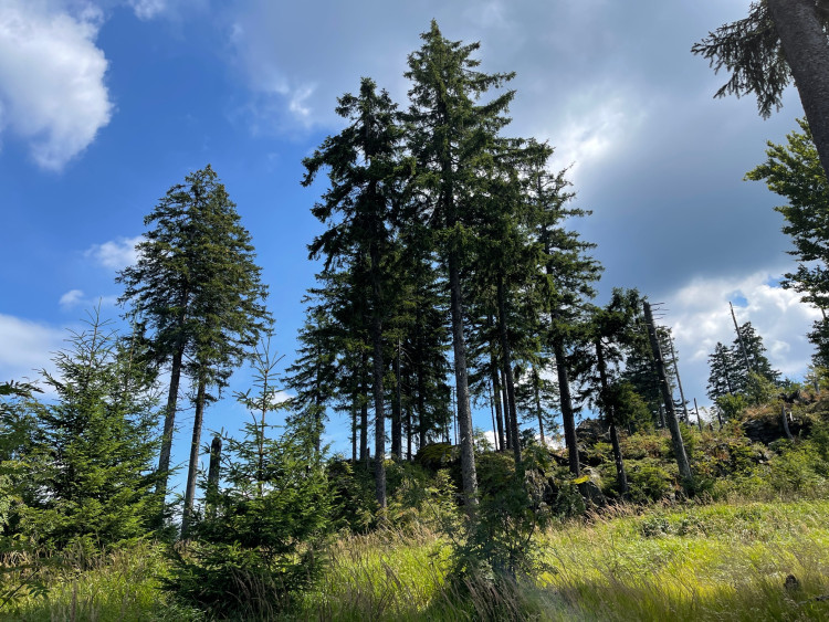 FOTOGALERIE: Výlet na Schwarzeck