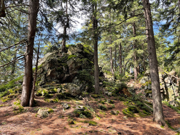 FOTOGALERIE: Výlet na Schwarzeck