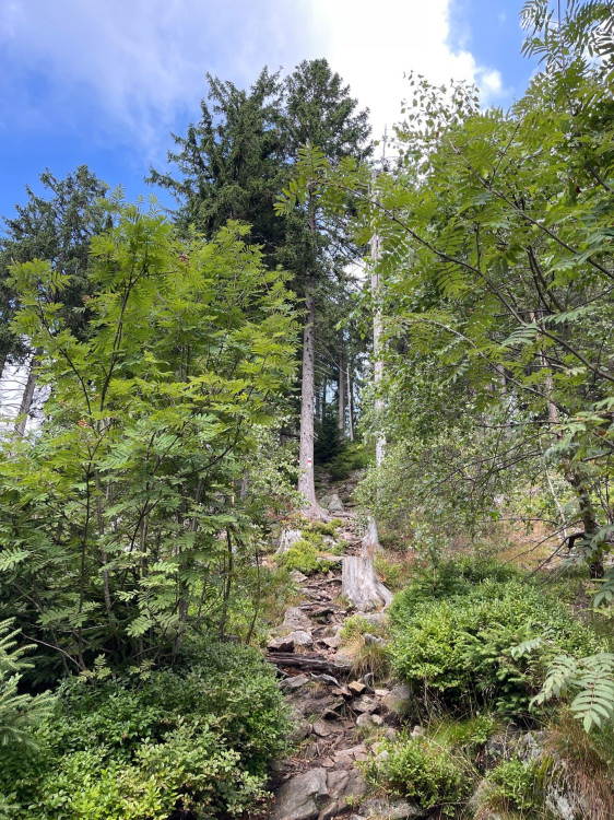 FOTOGALERIE: Výlet na Schwarzeck