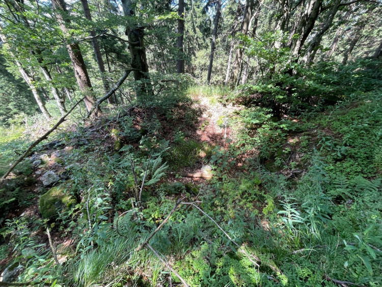 FOTOGALERIE: Výlet na Schwarzeck