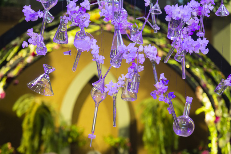 FOTOGALERIE: Podzimní etapa Flory oslavuje úrodu i přínos vědy