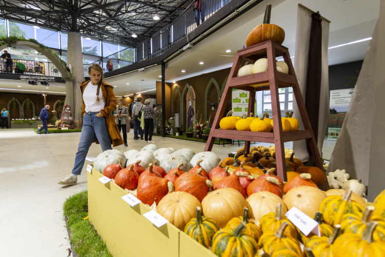 FOTOGALERIE: Podzimní etapa Flory oslavuje úrodu i přínos vědy