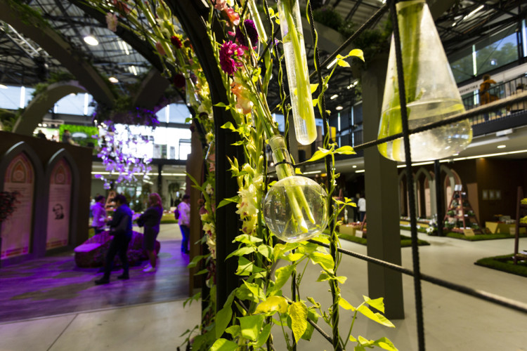 FOTOGALERIE: Podzimní etapa Flory oslavuje úrodu i přínos vědy