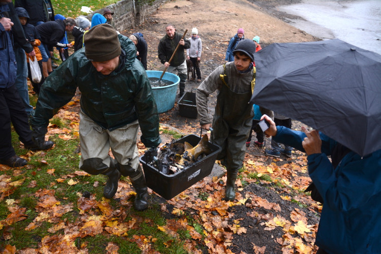Výlov liberecké přehrady