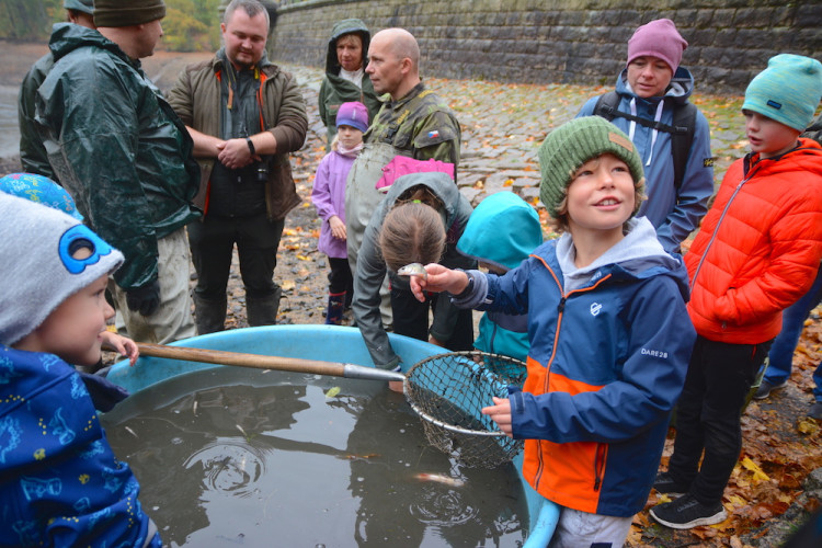 Výlov liberecké přehrady