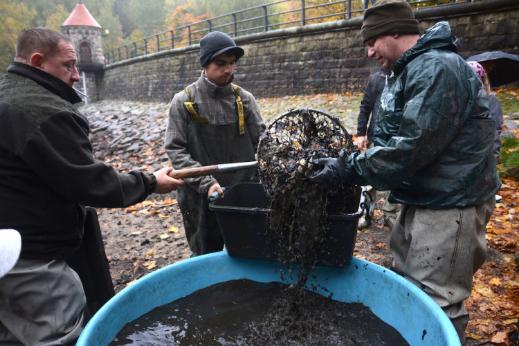 Výlov liberecké přehrady