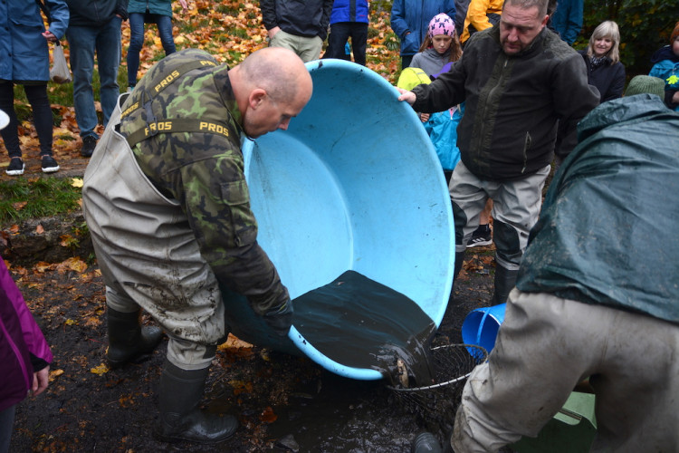 Výlov liberecké přehrady