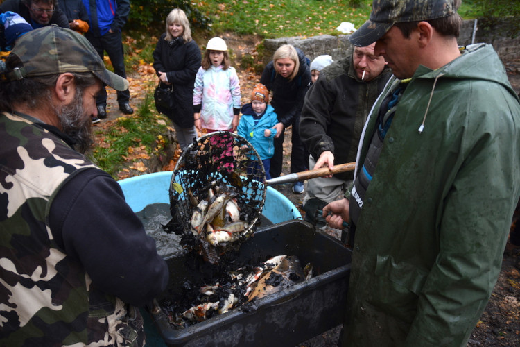 Výlov liberecké přehrady