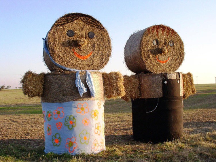 2005, Sedlák a selka